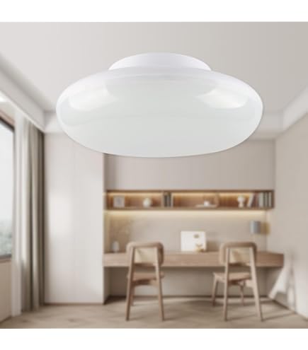 Amazon.co.jp : LEDシーリングライト 8畳 10畳 LEDシーリングライト